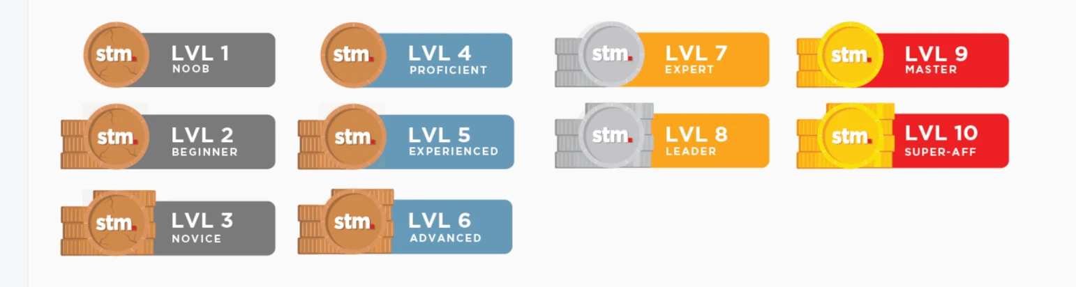 STM points and levels system